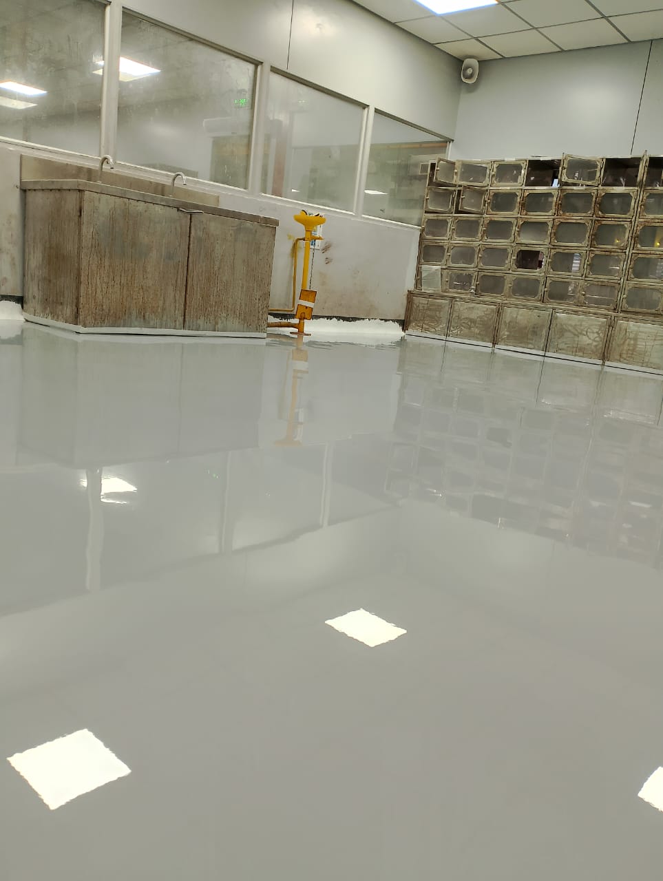 Epoxy and PU Coating